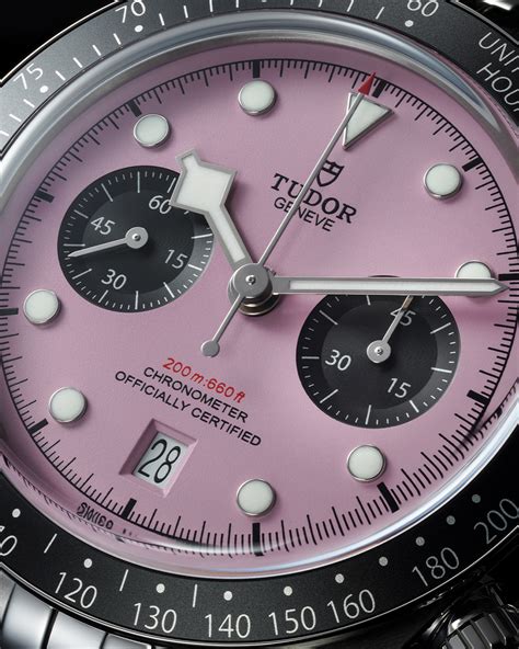 black bay chrono pink tudor|tudor chronograph pink dial.